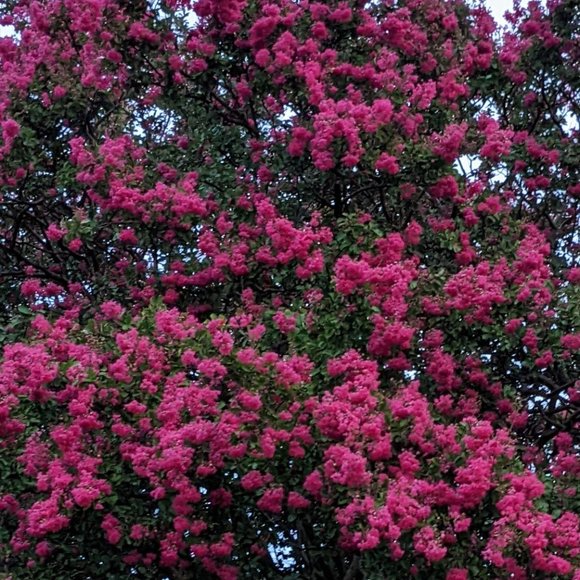 Meet your Posher, N - Picture 1 of 1